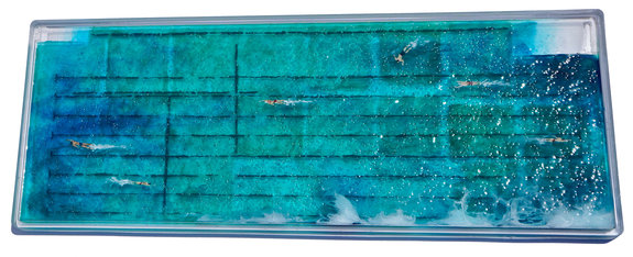 Freshwater, 2020. Pigment, paint and resin on Perspex. 72 x 27cm.